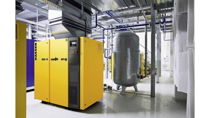 Vijčani kompresor BSD