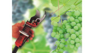 Industrijski klipni kompresori KAESER u proizvodnji vina.